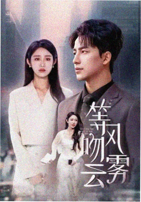 无声证人 剧集封面
